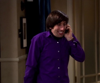 Replay The Big Bang Theory - S1E8 - L'effet sauterelle