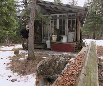 Replay Seuls face à l'Alaska - S4E4 - Dangereux prédateurs