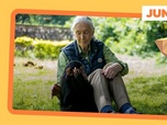 Replay Jane Goodall : une vie au service de la cause animale - ARTE Journal Junior