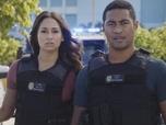 Replay Hawaii 5-0 - S8 E13 - O ka mea ua hala, ua hala ia