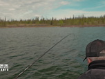Replay Pêche XXL : derniers géants - S4E8 - Prédateurs de l'Arctique
