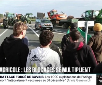 Replay 20H BFM - Crise agricole: les agriculteurs bloquent toujours de nombreux axes routiers