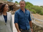 Replay Hawaii 5-0 - S9 E1 - Ka owili oka'i