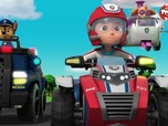 Replay Paw Patrol, la Pat'Patrouille - Galinetta et Roucoco