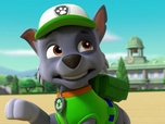 Replay Paw Patrol, la Pat'Patrouille - Yoga à la ferme