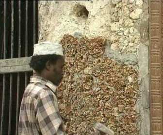 Replay Découverte du Monde - Lamu, cité Swahilie