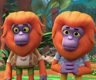 Replay Les enquêtes sauvages - L'affaire du singe qui pleure