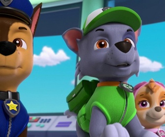 Replay Paw Patrol, la Pat'Patrouille - Toilettage à domicile