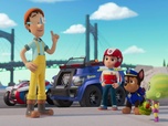 Replay Paw Patrol, la Pat'Patrouille - Les œufs extraterrestres