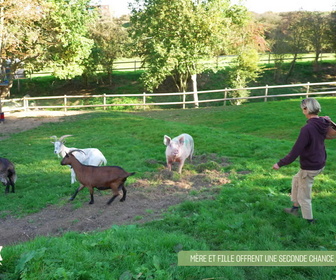 Replay L'hebdo des animaux - S1E2 - Episode 2