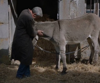 Replay La doc et le véto - S1 E6 - La plume noire
