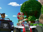 Replay Paw Patrol, la Pat'Patrouille - Coup de théâtre !