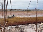 Replay Outre-Mer - Aux Caraïbes, les sargasses envahissent les plages et pèsent sur le quotidien des habitants