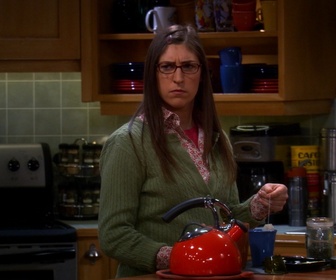 Replay The Big Bang Theory - S7E5 - La proximité du lieu de travail