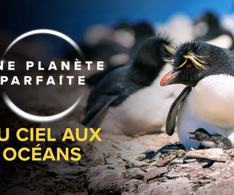 Replay Une planète parfaite - 01/12/2025