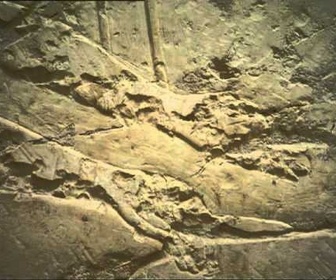 Replay Découverte du Monde - Les vallées Thébaines