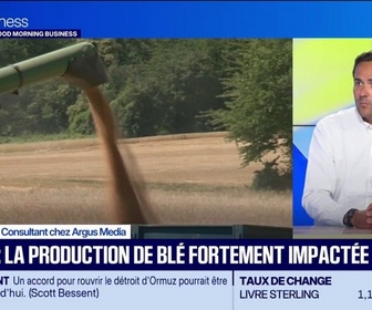 Replay Good Morning Business - Canicule : comment se porte le marché des récoltes ?