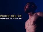 Replay Timothée Adolphe, la légende du guépard blanc