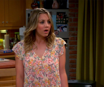 Replay The Big Bang Theory - S7E23 - Orang-outan en emporte le vent