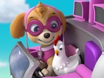 Replay Paw Patrol, la Pat'Patrouille - Le bus scolaire