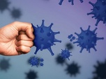 Replay Le système immunitaire, un puissant gardien