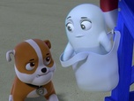 Replay Paw Patrol, la Pat'Patrouille - Froussette et ses amis