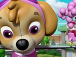 Replay Paw Patrol, la Pat'Patrouille - La fête de la grande vallée