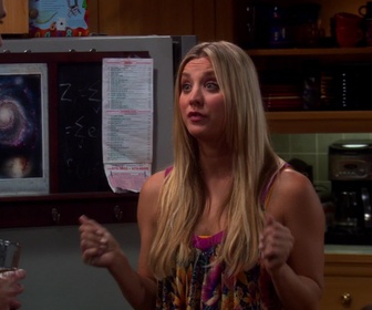 Replay The Big Bang Theory - S4E1 - Le robot à tout faire !