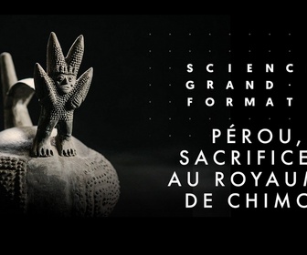 Replay Science grand format - Pérou, sacrifices au royaume de Chimor