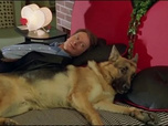 Replay Rex, chien flic - Mort.com