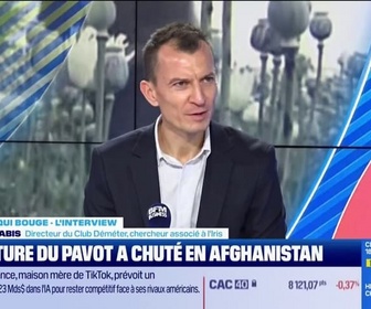 Replay Good Morning Business - La culture du pavot à opium a chuté en Afghanistan