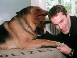 Replay Rex, chien flic - 31/07/2026