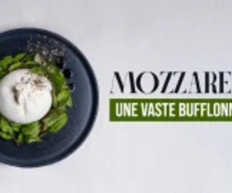 Replay Mozzarella, une vaste bufflonnerie ?