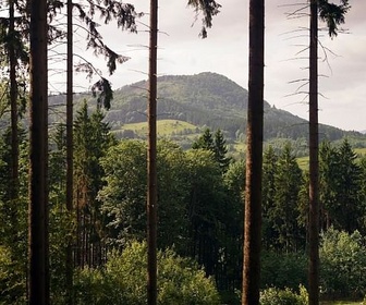 Replay Pologne / Madagascar / Berlin - Invitation au voyage