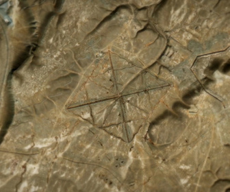 Replay Phénomènes vus de l'espace - S6E15 - Les pyramides secrètes de Chine