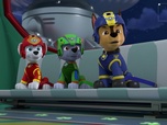 Replay Paw Patrol, la Pat'Patrouille - Le concours de danse