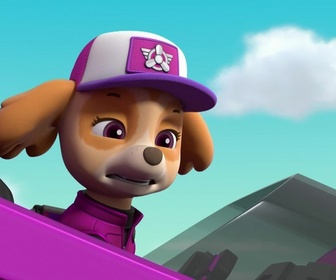 Replay Paw Patrol, la Pat'Patrouille - Mission camion : Panique sur l'autoroute