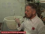 Replay Un jour, un doc - Halles de Lyon, au paradis des gourmands