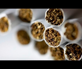 Replay Espagne : un réseau de contrebande de tabac démantelé, 20 millions de cigarettes saisies