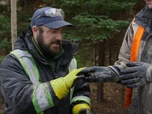 Replay Le mystère d'Oak Island : la course au trésor - S7E4 - L'oeil du marais