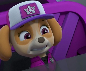 Replay Paw Patrol, la Pat'Patrouille - Mission camion : Le chalet snowboarder