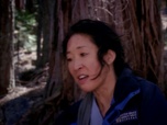 Replay Grey's anatomy - S08 E24 - Le vent tourne