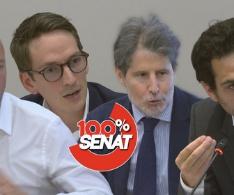 Replay 100% Sénat - Zones grises de l'information : audition de Giuliano da Empoli