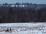 Replay Seuls face à l'Alaska - S9E2 - Nouveaux projets