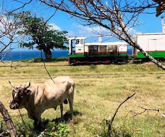 Replay Un billet de train pour Saint-Christophe