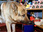 Replay Rex, chien flic