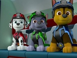 Replay Paw Patrol, la Pat'Patrouille - Mission secrète : les amis de la princesse