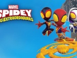 Replay Spidey et ses amis extraordinaires - La chasse aux lapins