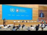 Replay L'ONU adopte le programme Awaza pour stimuler le commerce et la résilience dans les pays enclavés