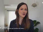 Replay C Jamy - Les supers pouvoirs des arbres